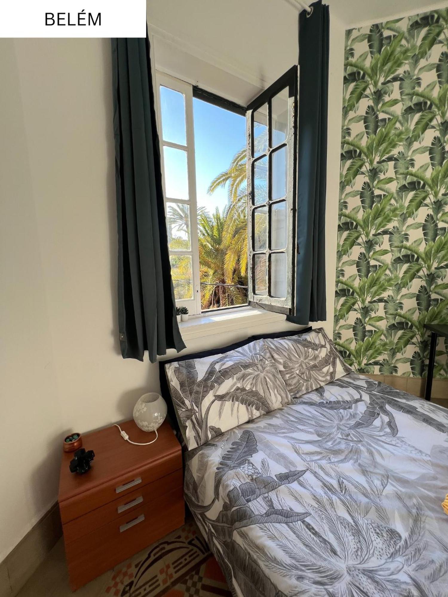 Coliving Villa Brasil Λας Πάλμας ντε Γκραν Κανάρια Εξωτερικό φωτογραφία